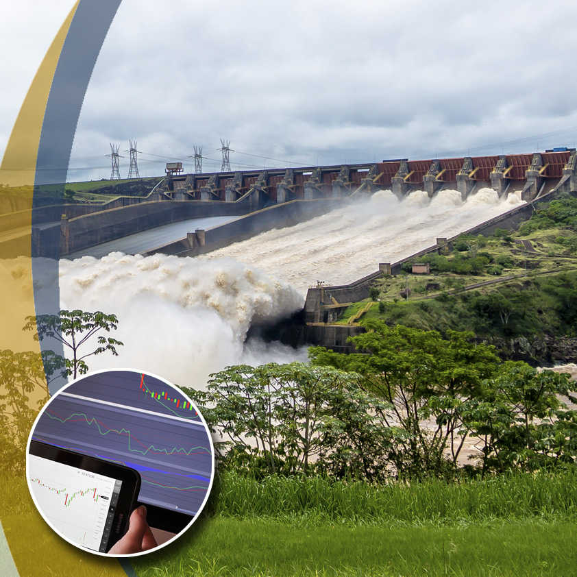 pagina_servicios_estrategia_regulatoria